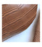 Crocodile Waist Bags For Women Pattern PU Leather new Solid Color Funny Packs Ladies Belt Bags